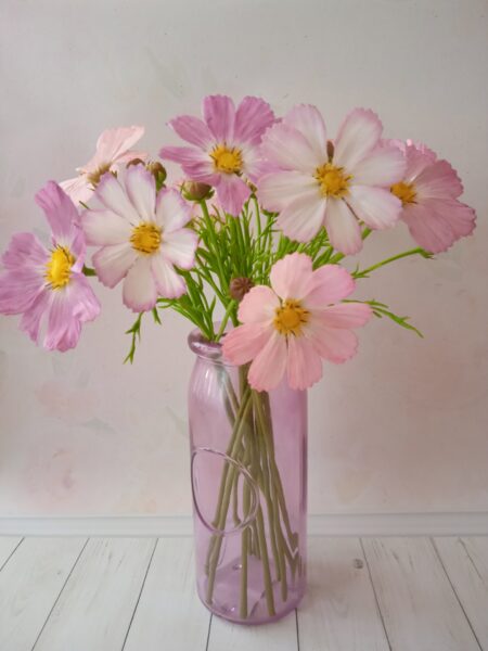 Архив: Электронная книга «Космея» photo review