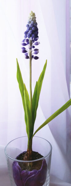 Электронная книга «Мускарики» photo review