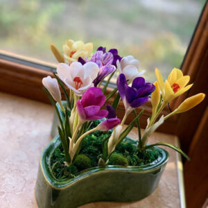 Электронная книга «Крокусы» photo review