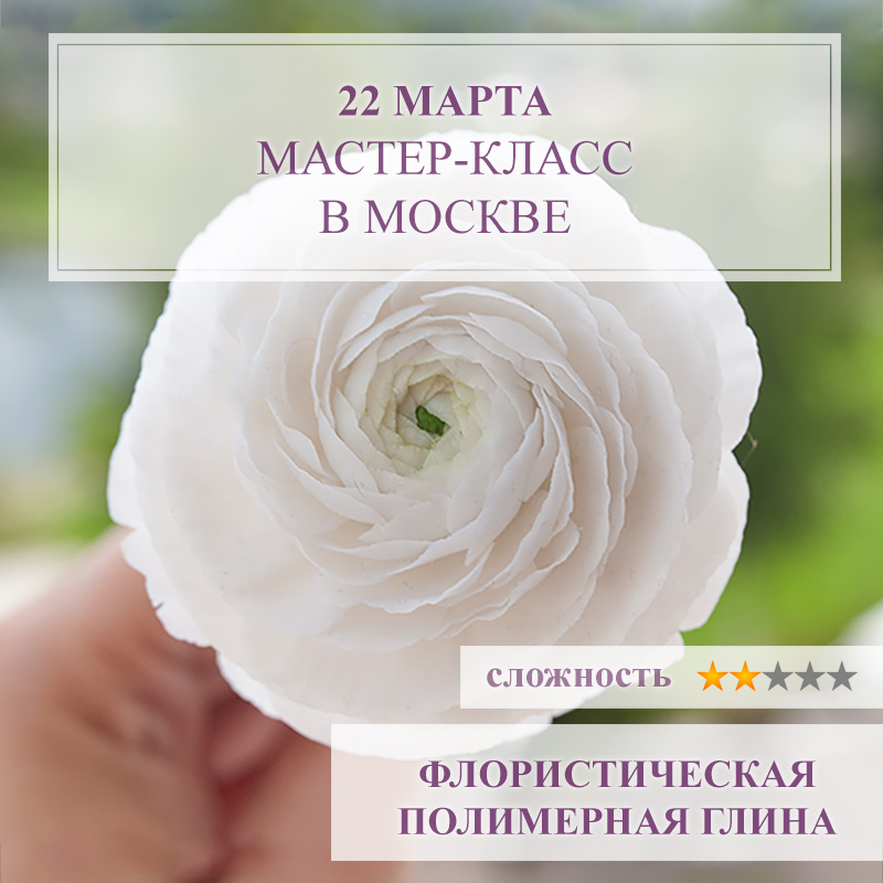 Ранункулюсы