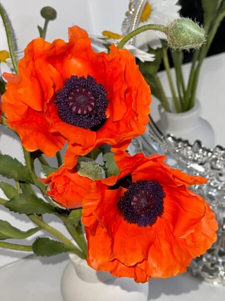 Электронная книга "Мак восточный" photo review