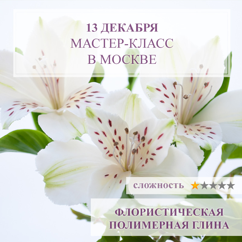 Альстромерия