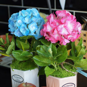 Электронная книга "Гортензия" photo review