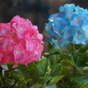 Электронная книга "Гортензия" photo review