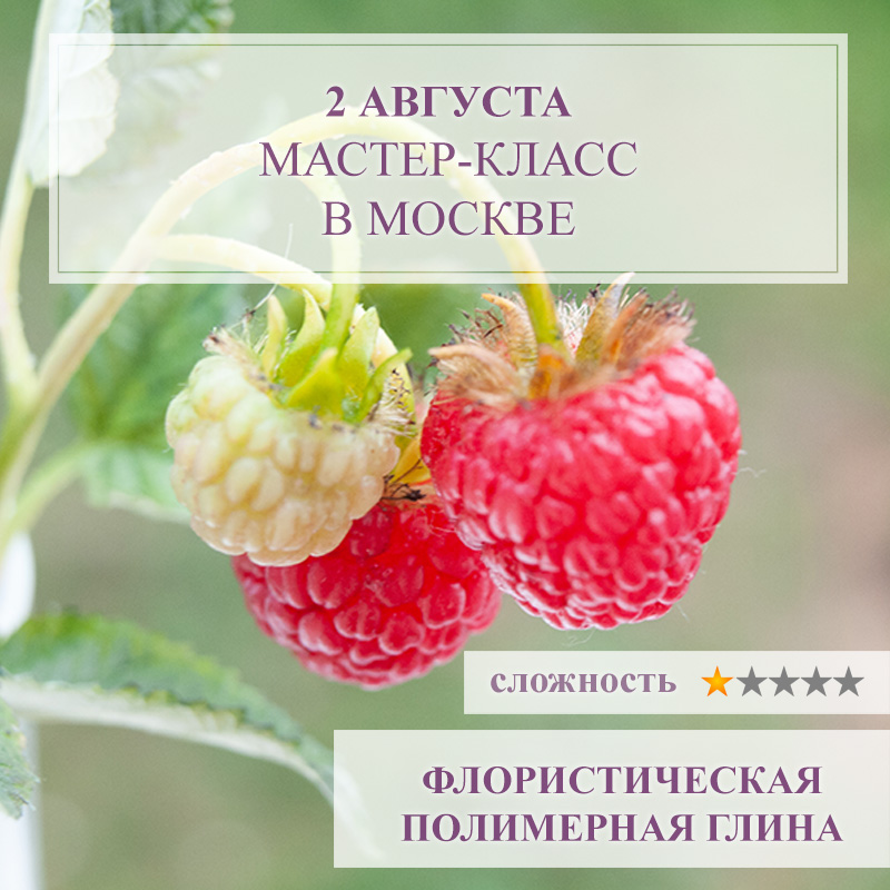 Малина