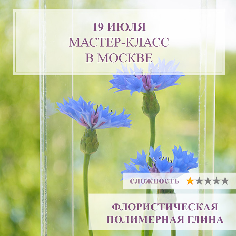 Васильки