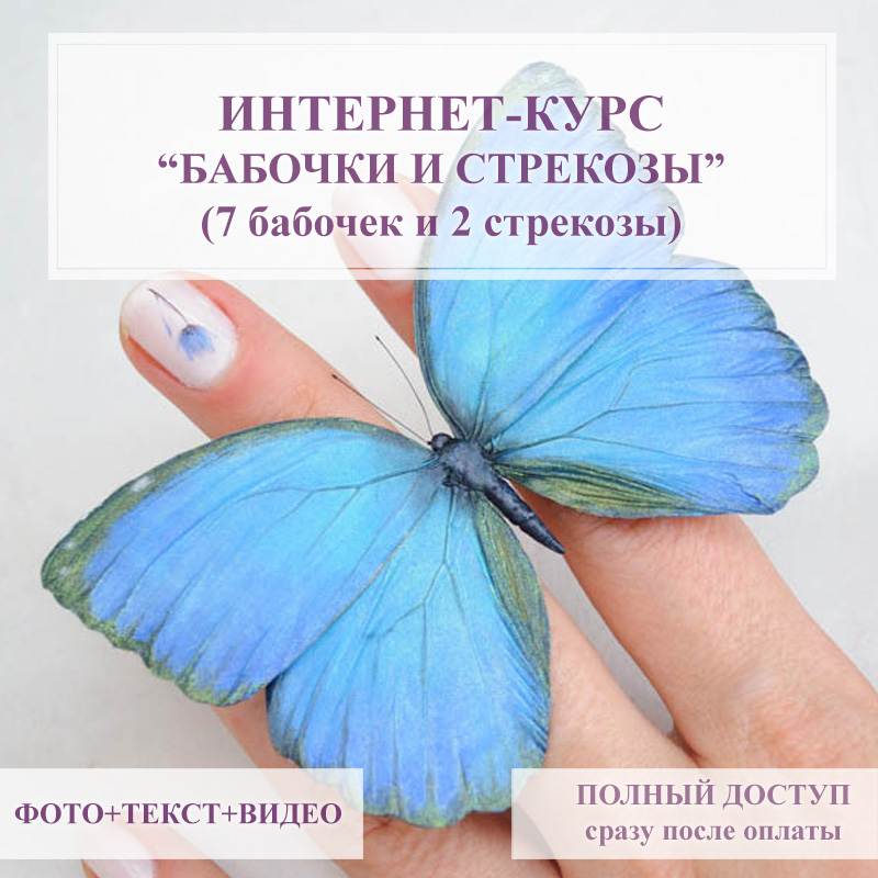 Курс - Бабочки, стрекозы