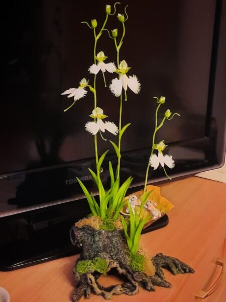 Курс - Белая цапля photo review