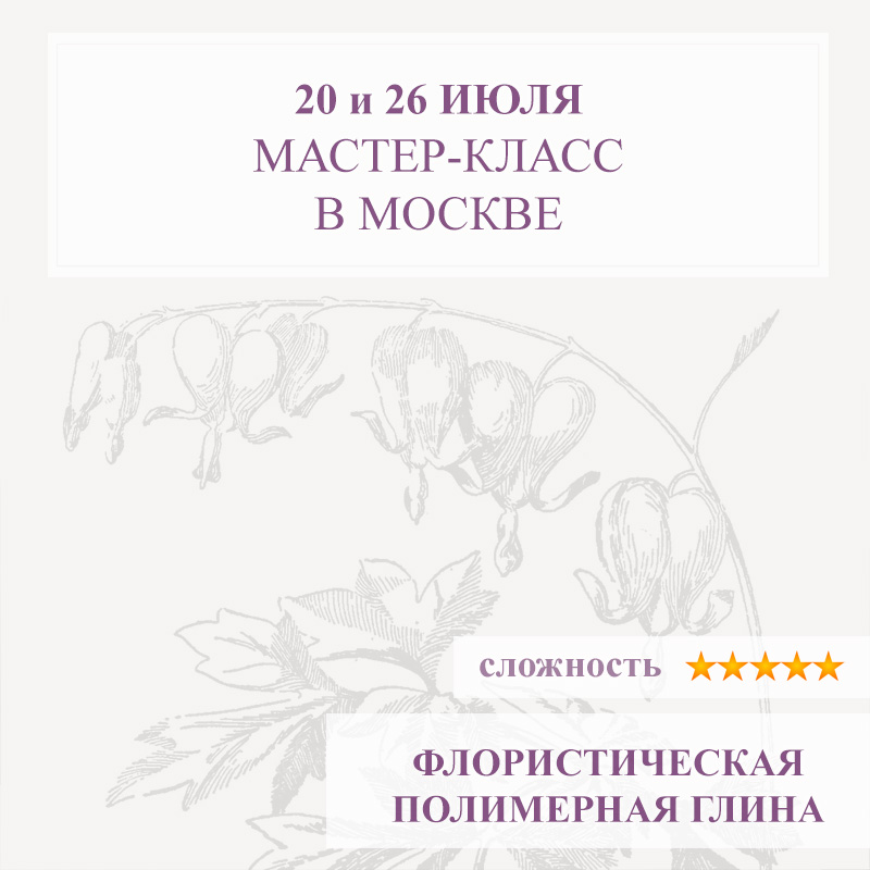 Дицентра