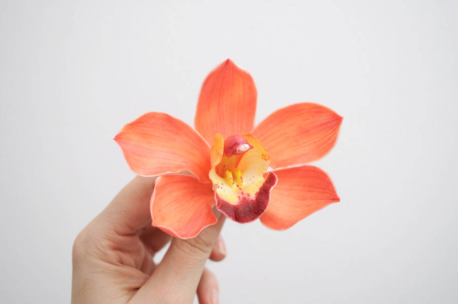 cimbidium-or-1