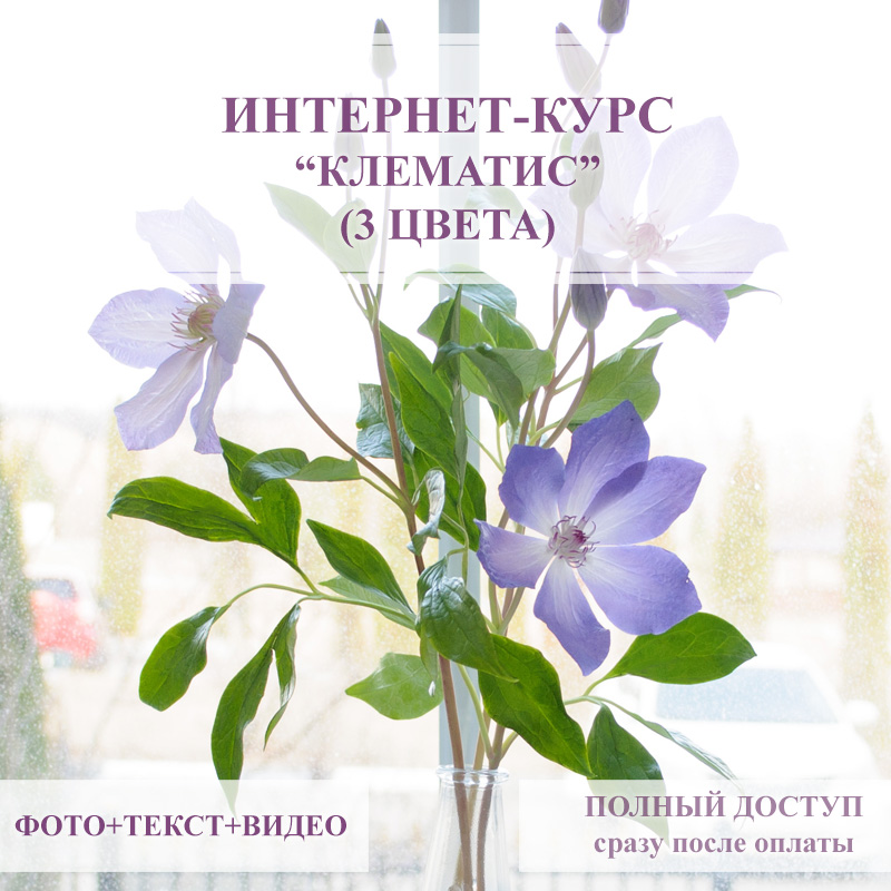 Курс - Клематис