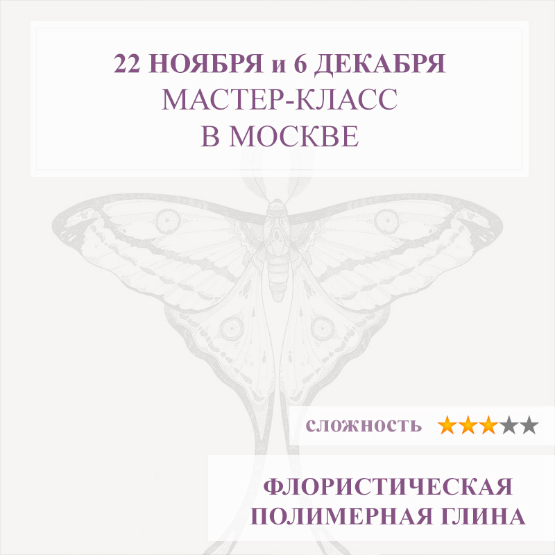 Бабочка Сатурния луна