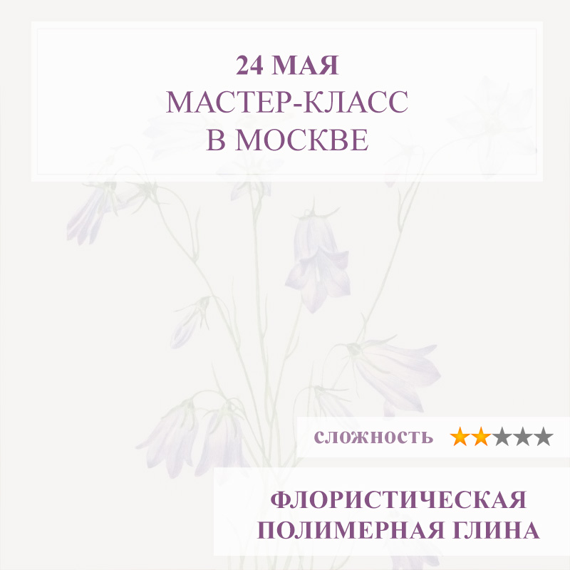 Колокольчик полевой