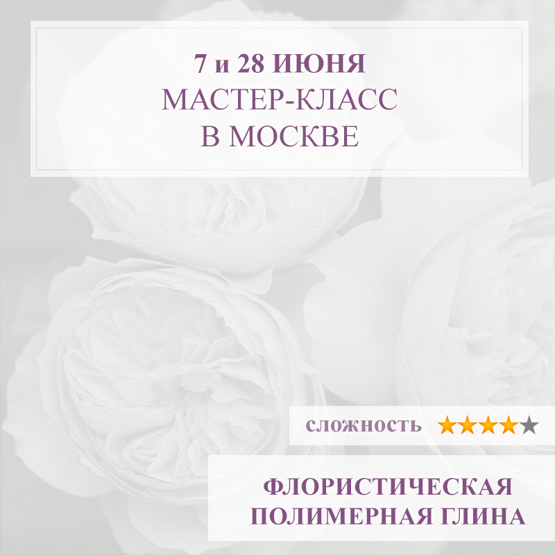Роза Констанс