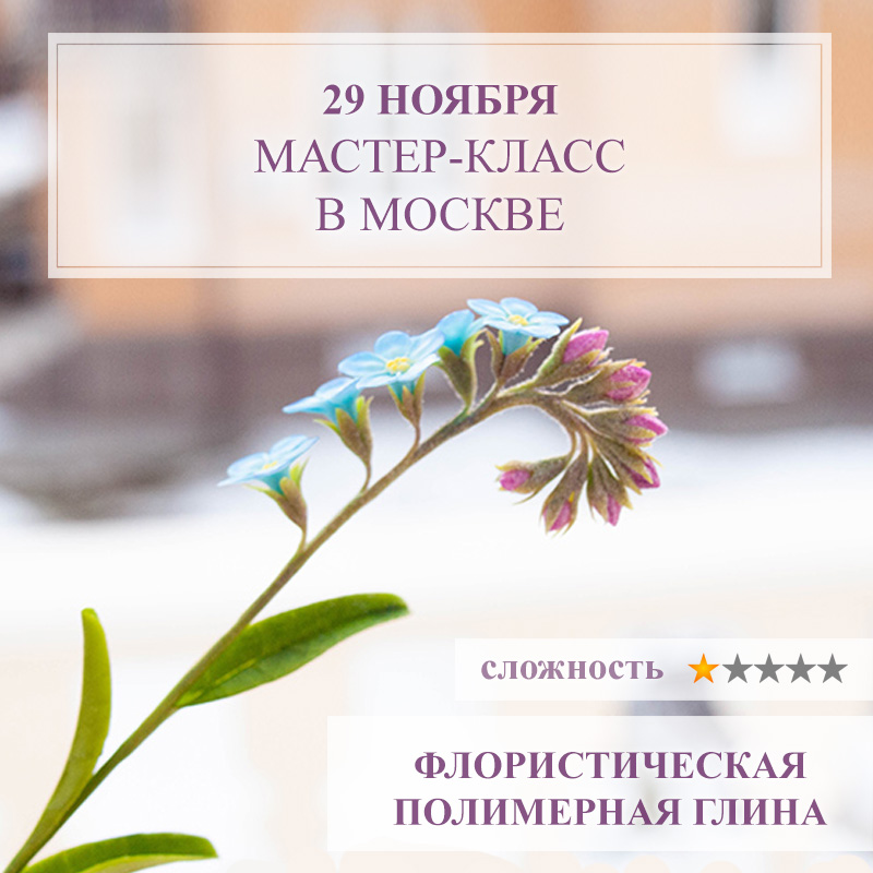 Незабудки