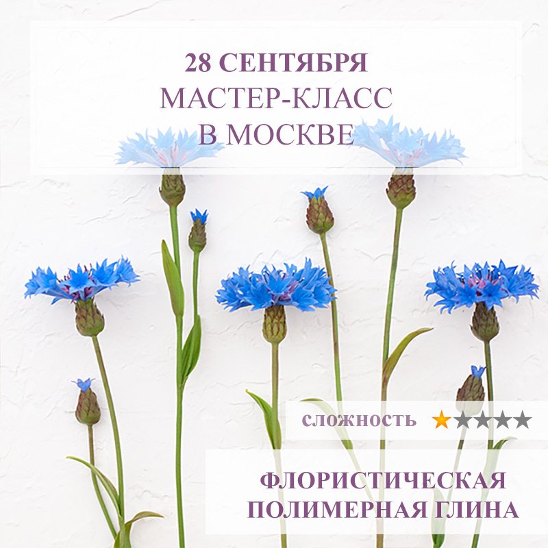 Васильки