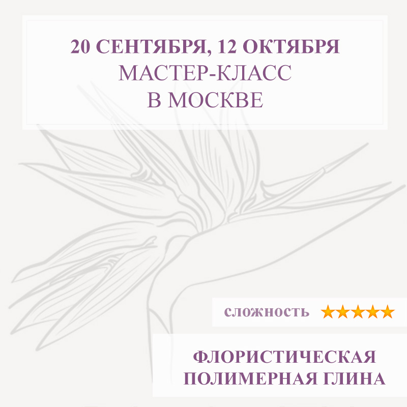 Стрелиция