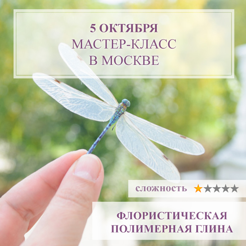 Стрекоза