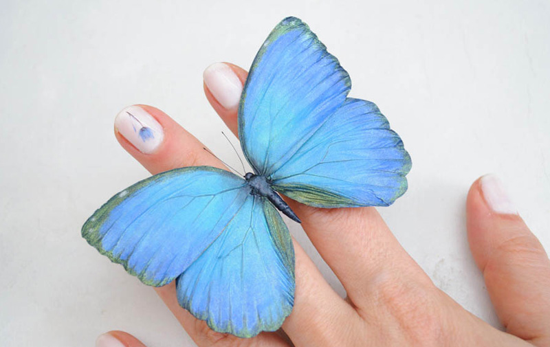 ИНТЕРНЕТ-КУРС ``БАБОЧКИ И СТРЕКОЗЫ``