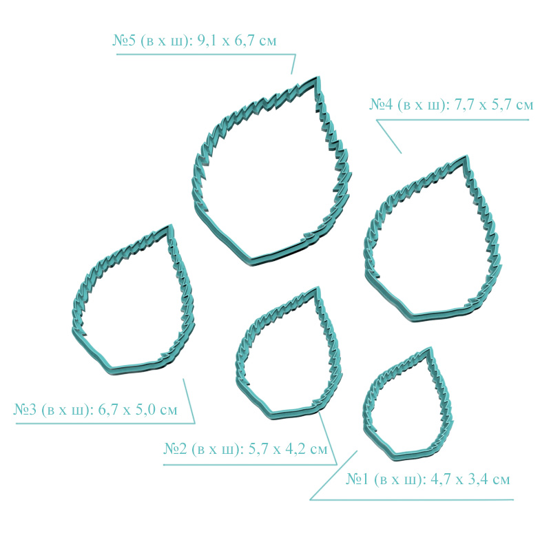 Гортензия крупнолистовая, листья