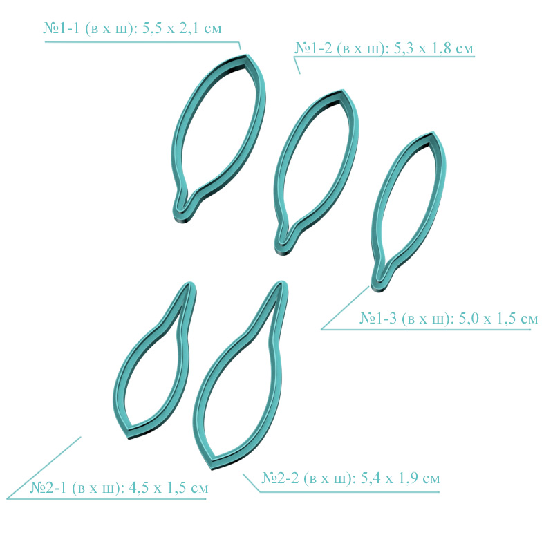 Подсолнух, лепестки