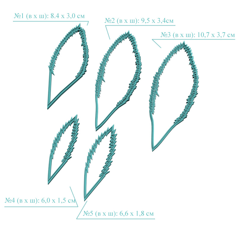 Морозник восточный, листья