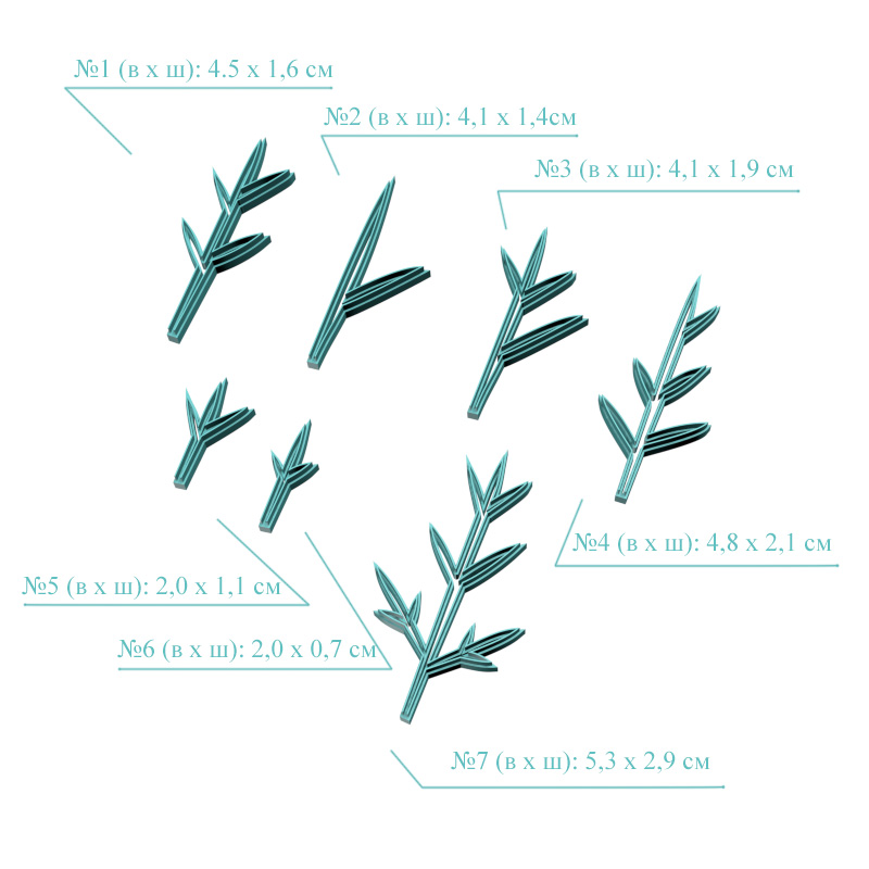 Космея, листья