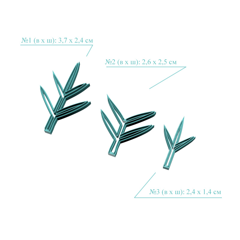 Нигелла, листья