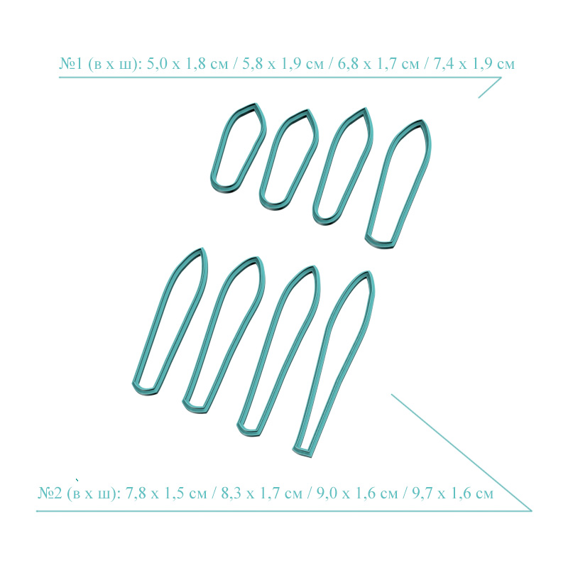 Протея, лепестки (прицветники)