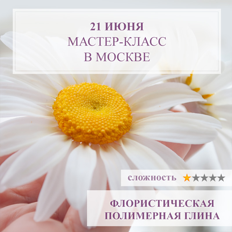Ромашка садовая