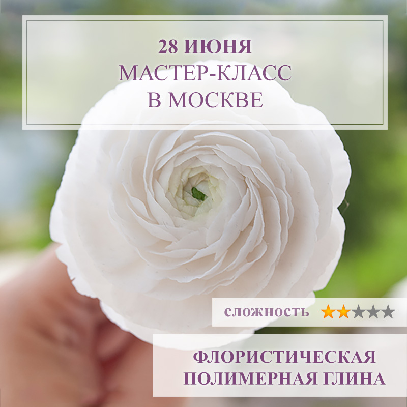 Ранункулюсы