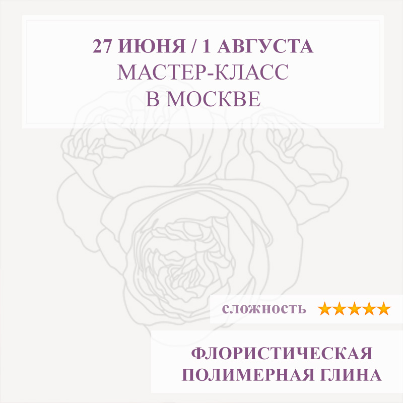 Розы Джульетта и Колосаль