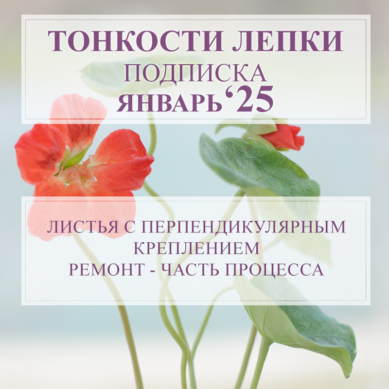 Архив: Тонкости лепки - 01/25