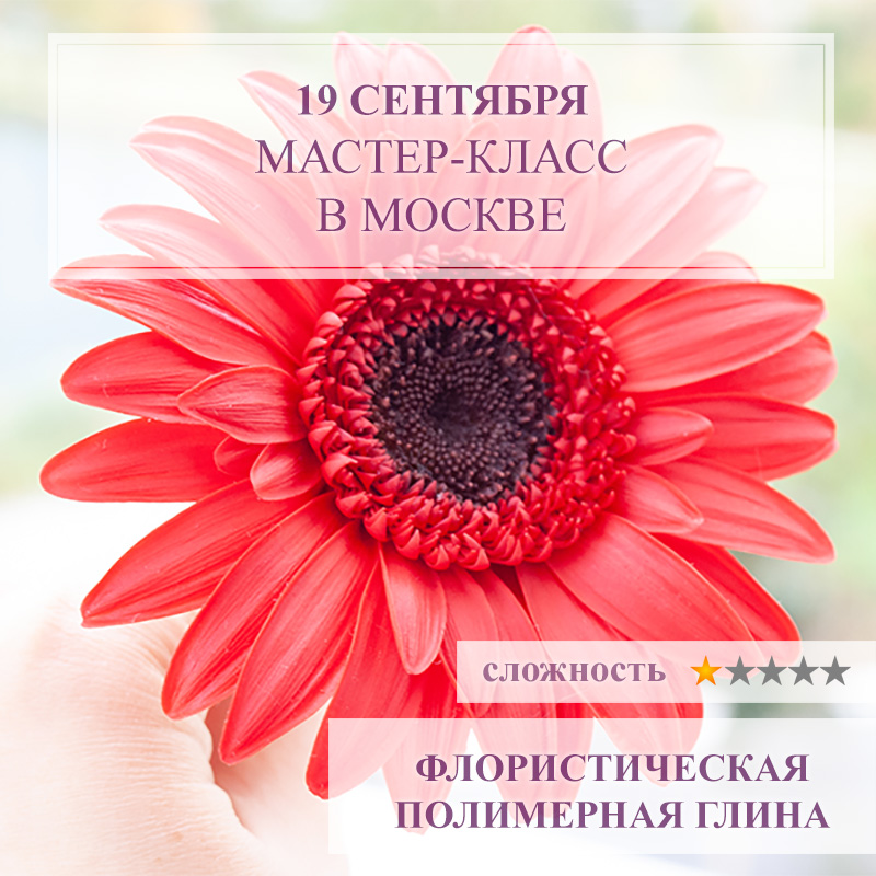 Гербера